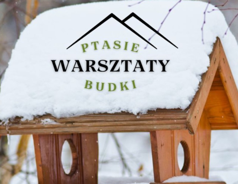 Ptasie Budki | Warsztaty